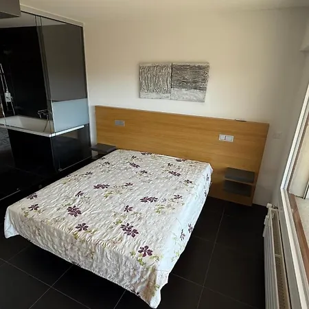 Au Centre De Montana Apartament *
